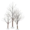 Department 56 First Frost Trees Best
