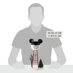 Department 56 Mickey Water Tower Best
