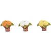 Department 56 Mums for Mom