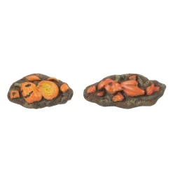 Department 56 Pumpkins, November 1st Hot