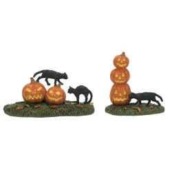 Department 56 Scary Cats Pumpkins ST/2 Clearance